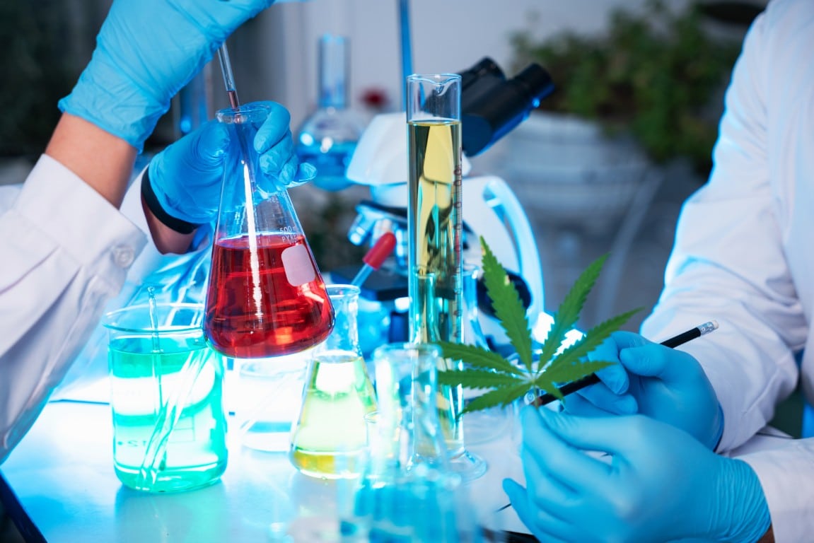 Terpene Analysis