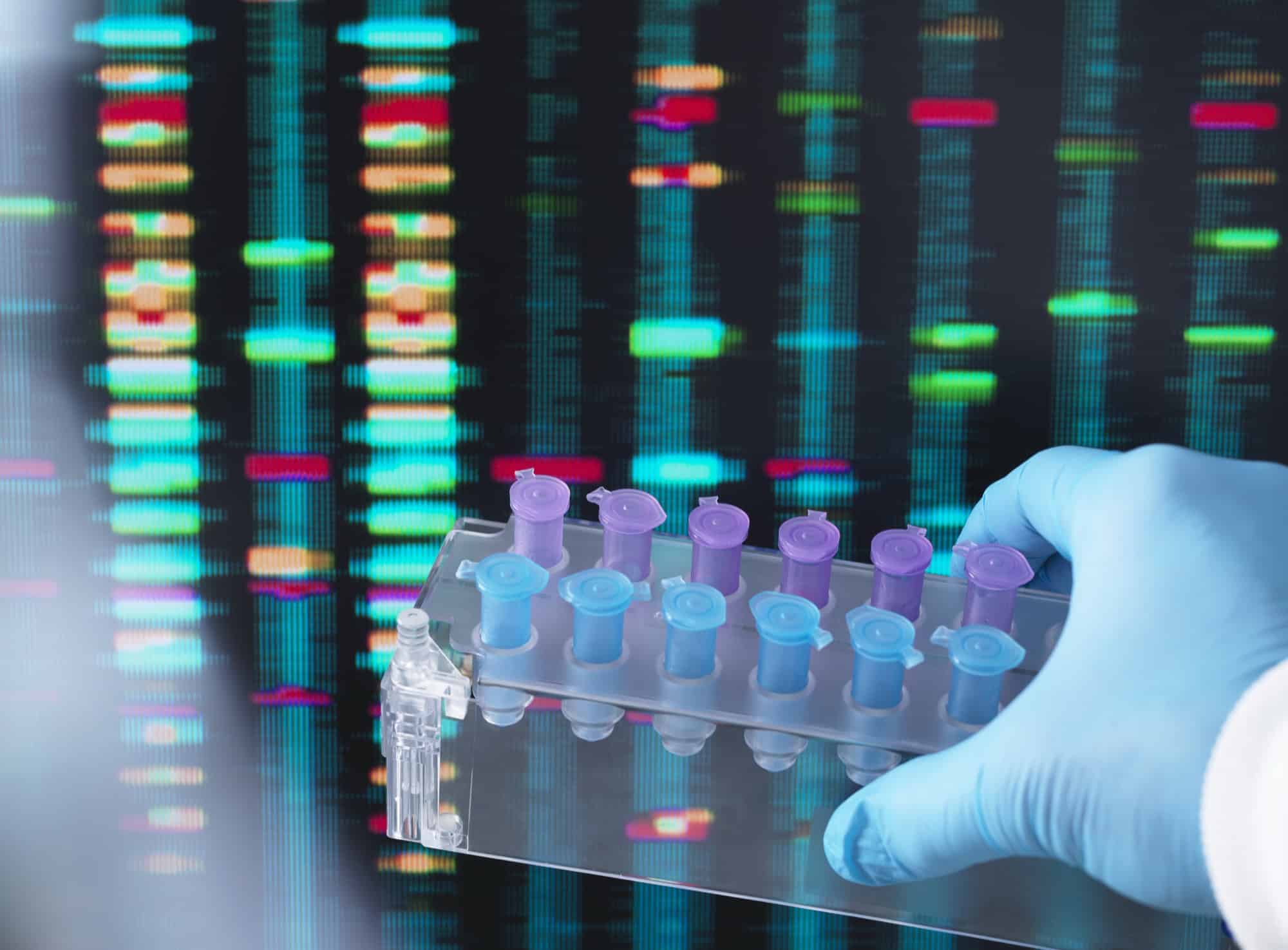 New Cannabis Strains and the Genetics Behind Them