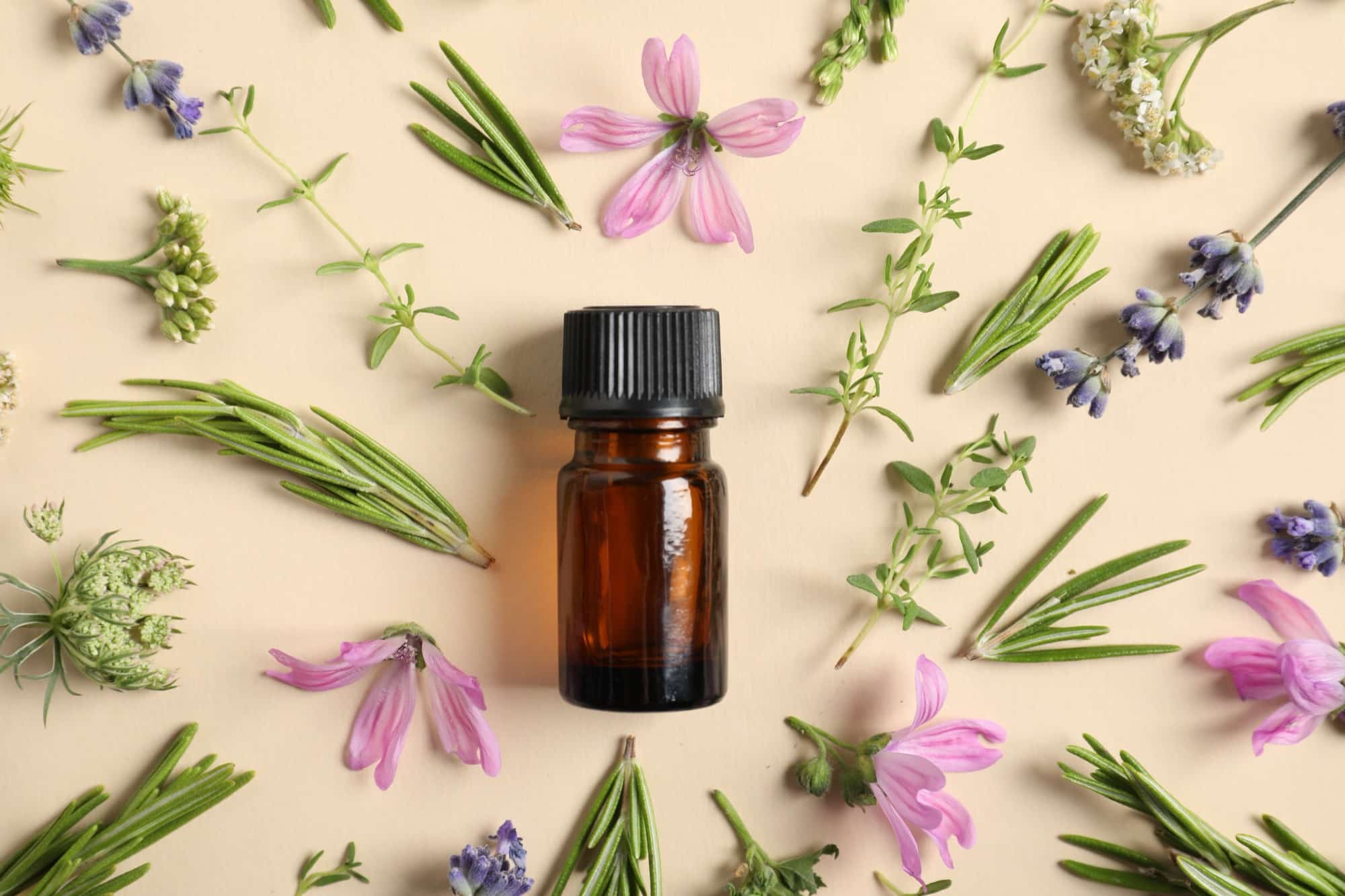 Terpenes and the Entourage Effect