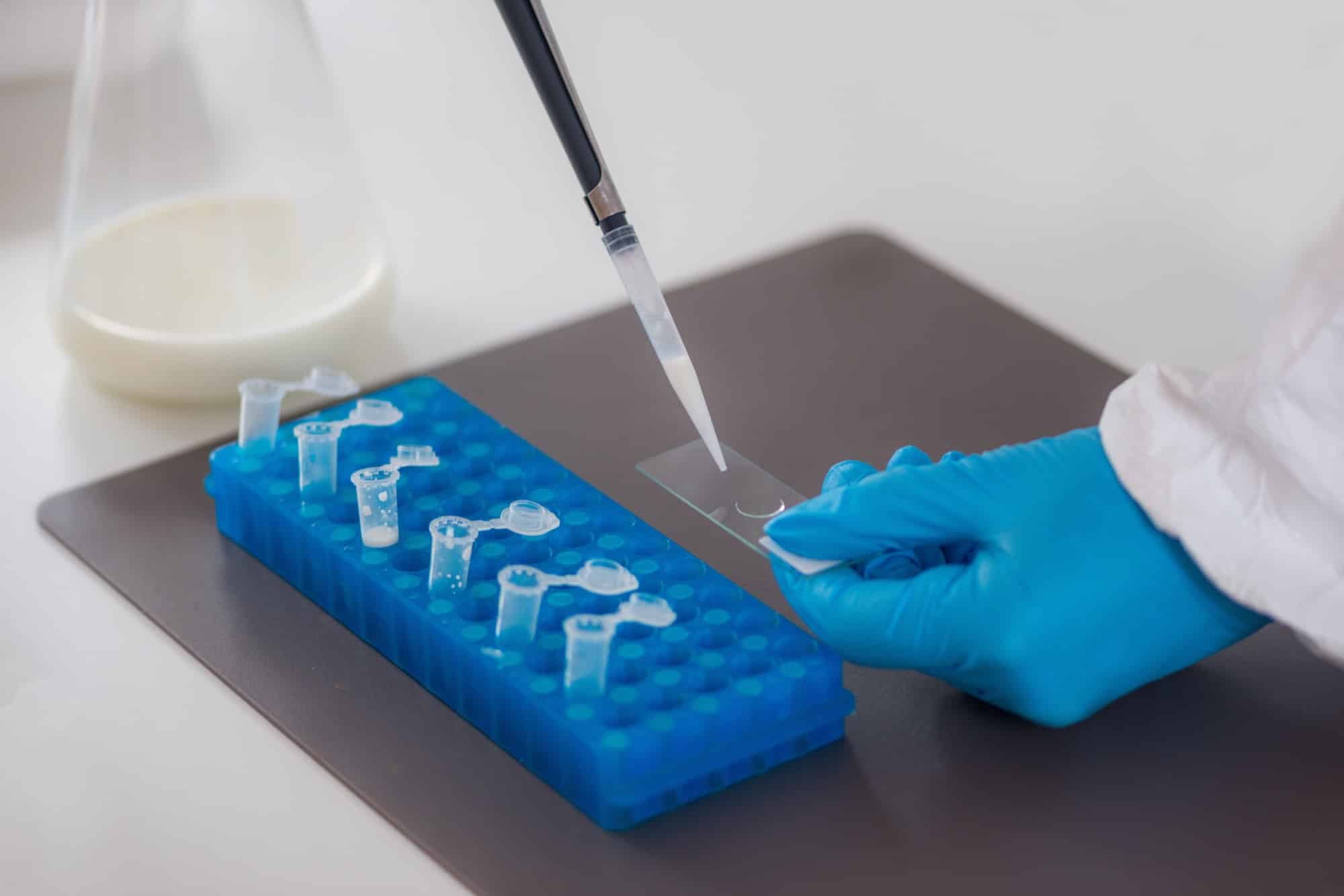 Inside the Lab: From Sample Intake to Certificate of Analysis