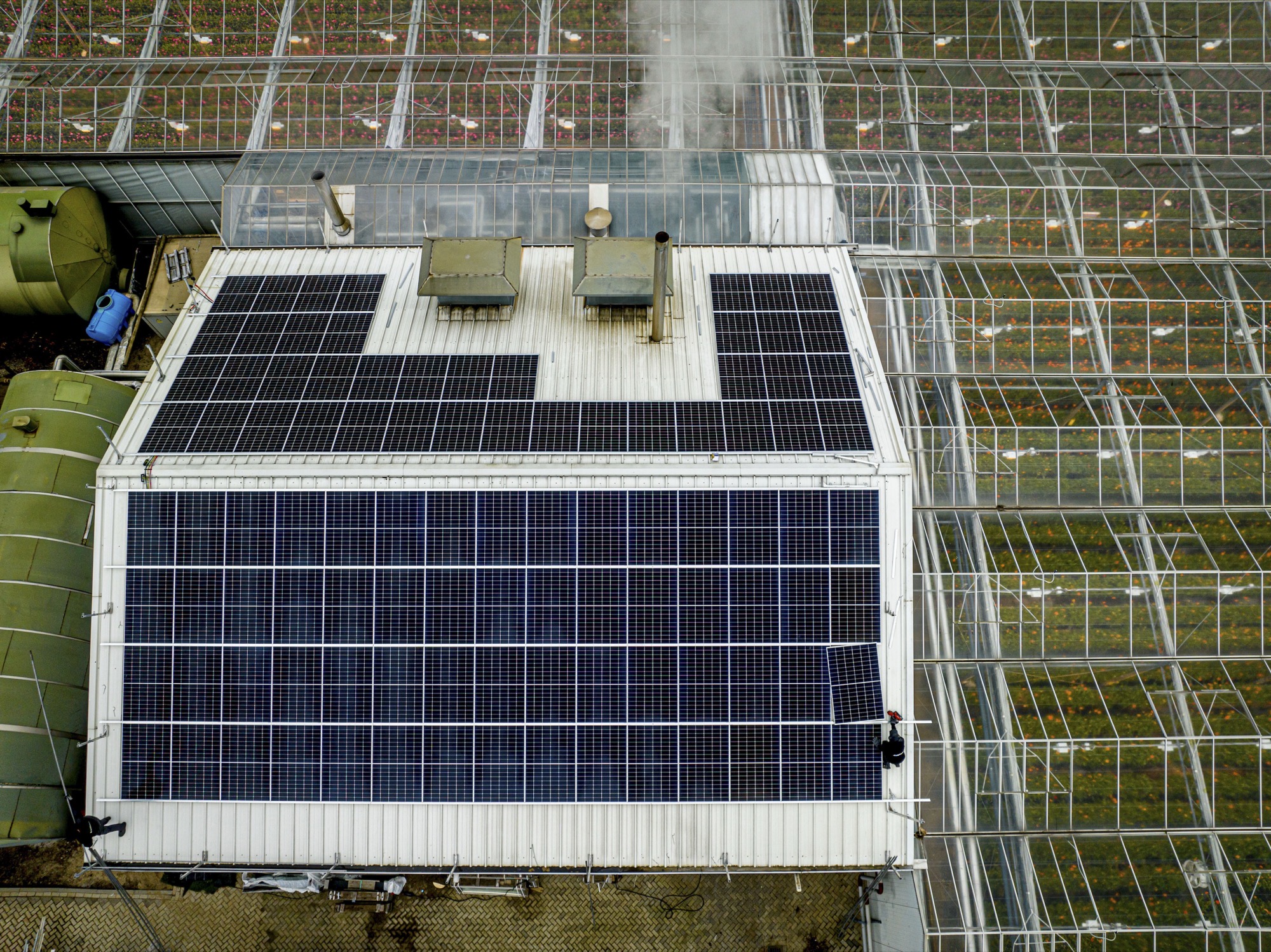 Sustainability in Cannabis Cultivation