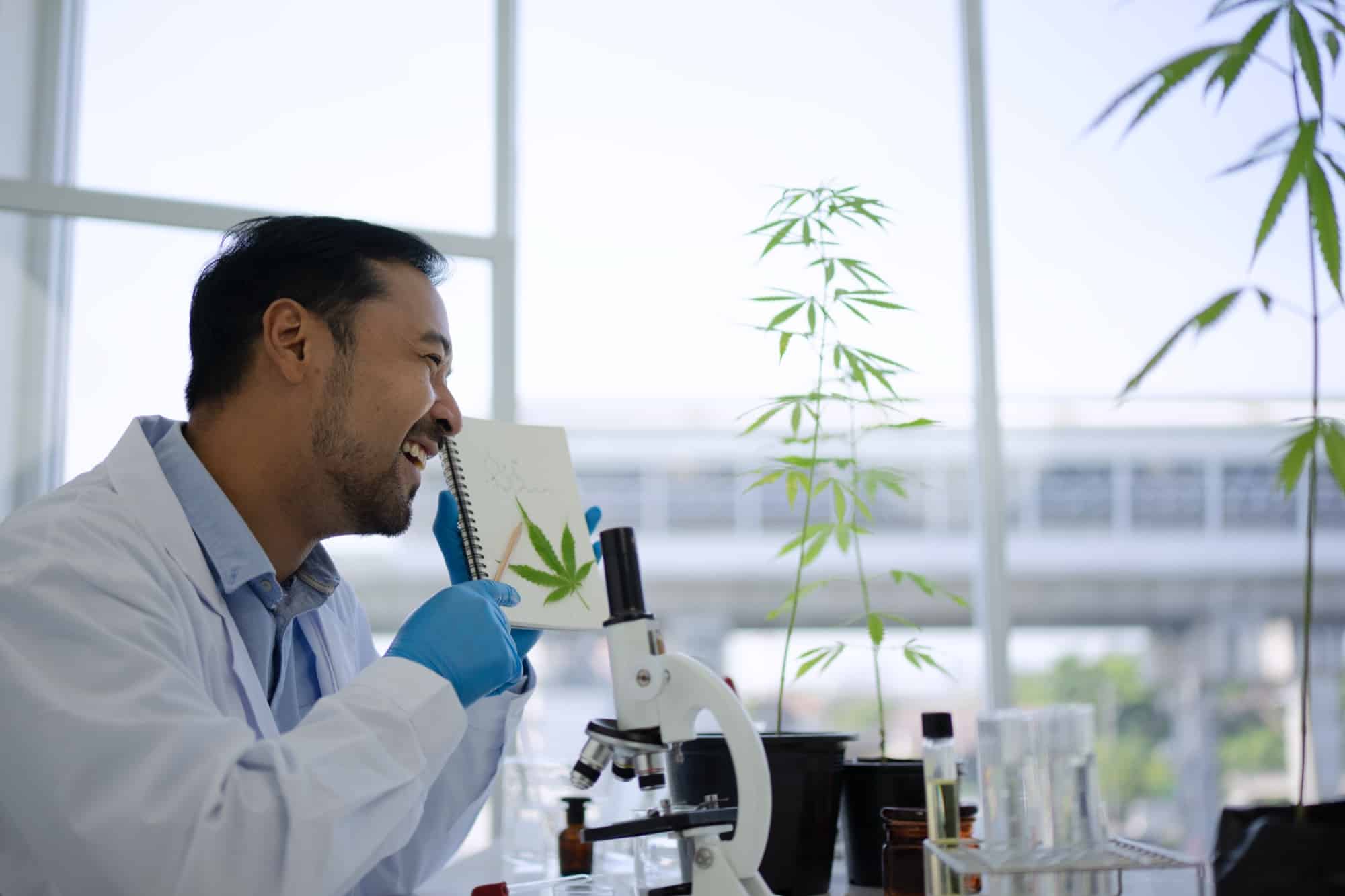 What Cannabis Lab Testing Is and Why Every Batch Needs It